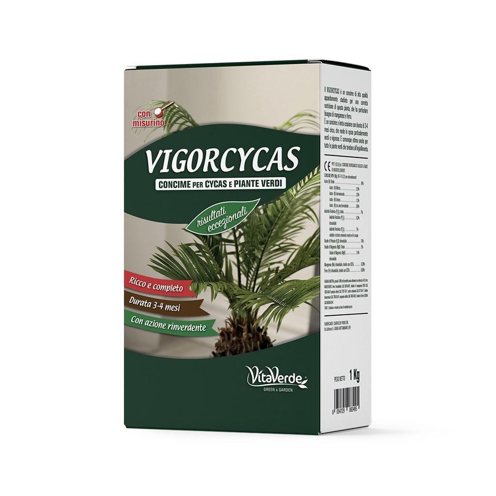 VIGORCYCAS KG. 1